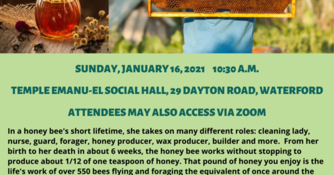 Honey & More, A Special Tu B’Shevat Program – Jan. 16
